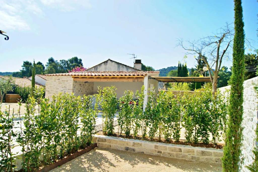 La Maison D'Angele Saint Remy De Provence Villa Buitenkant foto